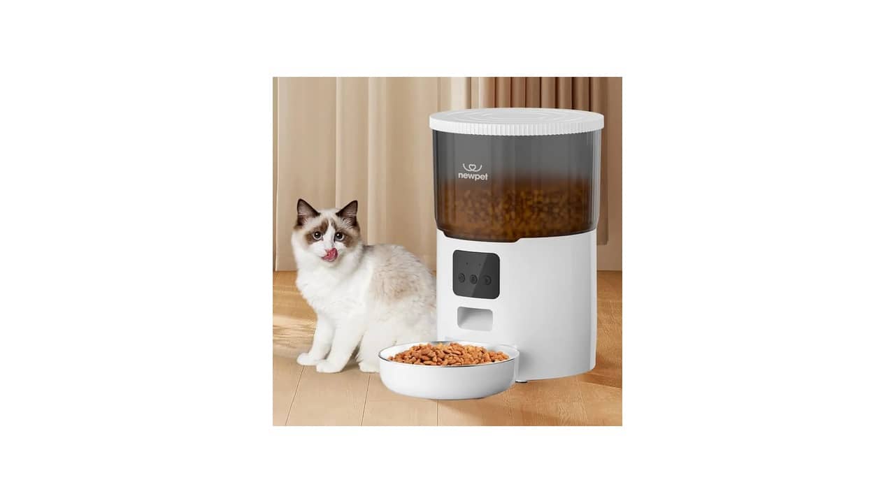 Melhor Alimentador Automático para Gato: 7 Modelos Inteligentes e Eficientes