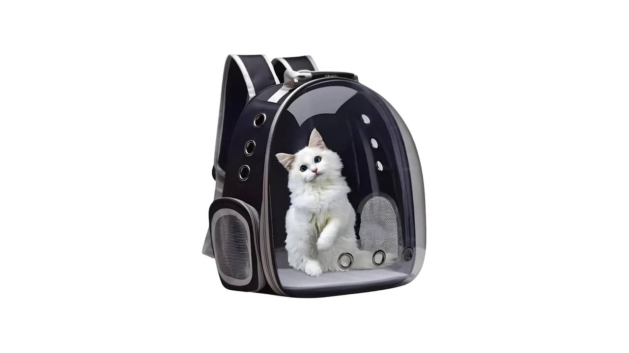Melhor Bolsa de Transporte para Gato: Qual Escolher?
