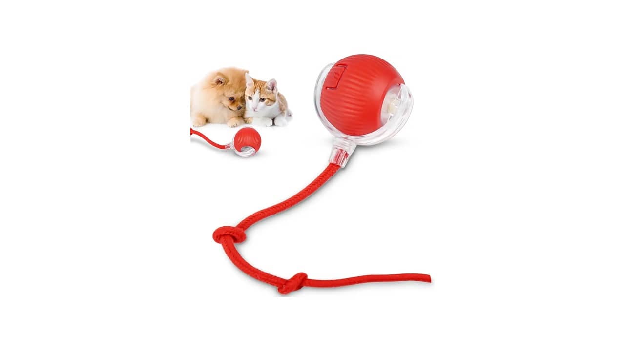 Melhor Brinquedo de Gato: Qual Estimula Mais Sua Feline