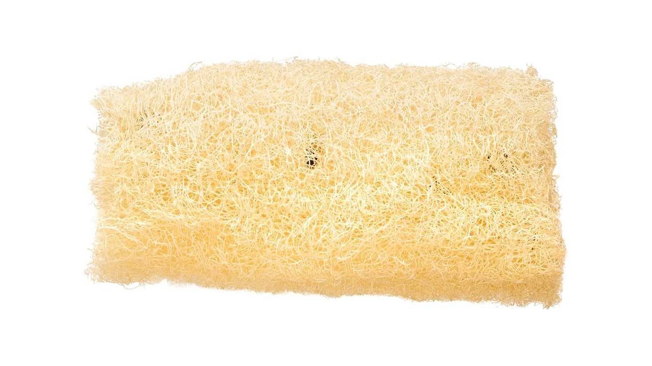 Melhor Bucha Vegetal: Escolha Sustentável e Eficiente
