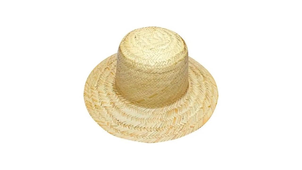 Melhor Chapéu de Palha: As 10 Opções Mais Versáteis para Sol e Praia