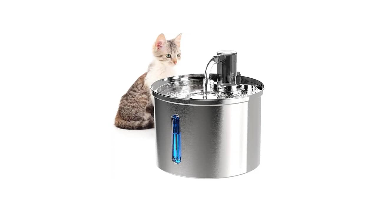 Melhor Fonte de Água Automática para Gato: Qual o Modelo Mais Silencioso e Eficiente?