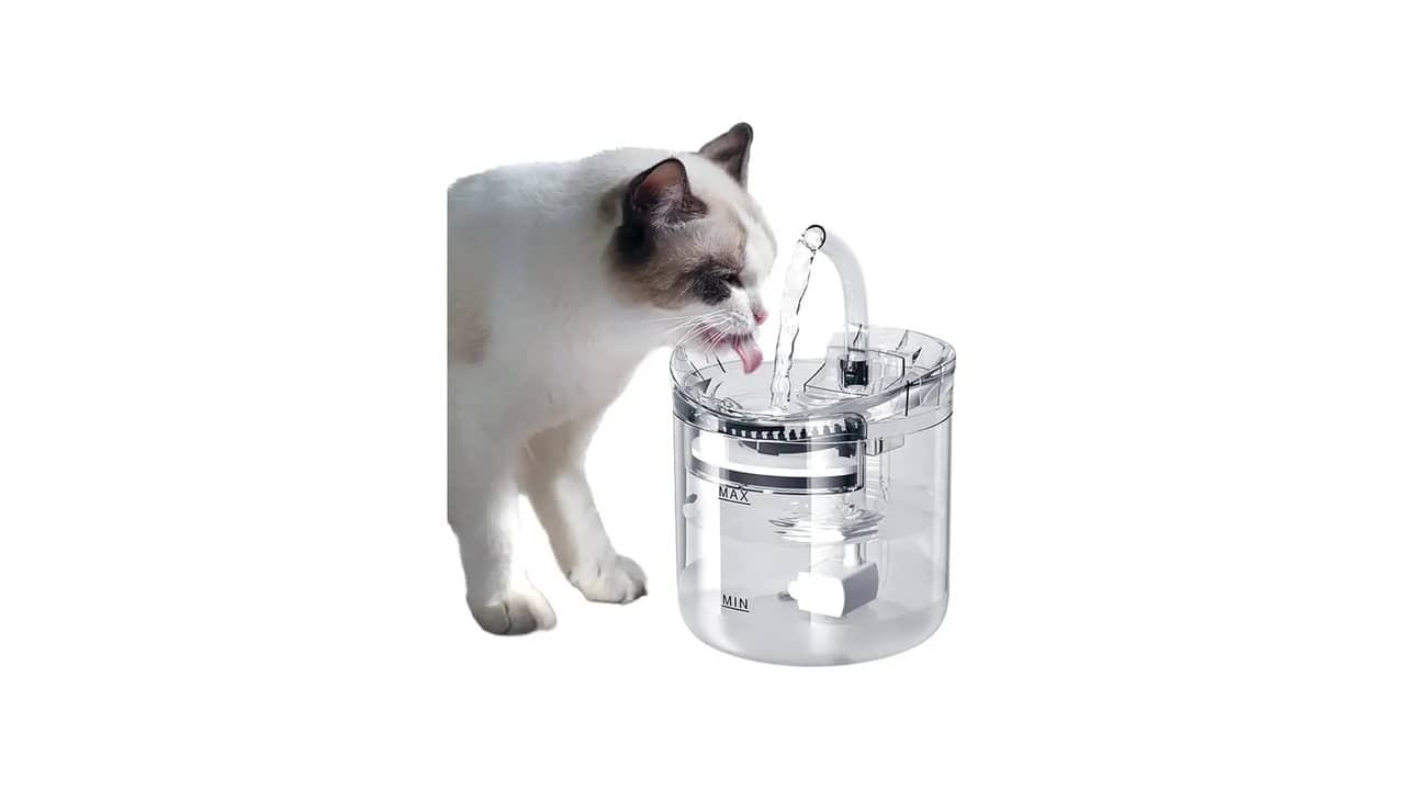 Melhor Fonte de Água para Gatos: Filtragem Silenciosa e Automação