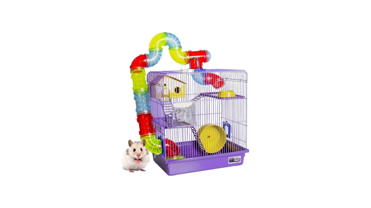 Melhor Gaiola para Hamster: Análise Completa de 10 Opções Impecáveis