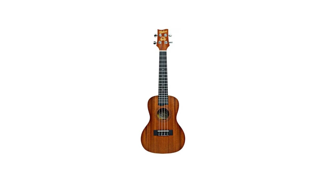 Melhor Ukulele Concerto: Qual a Melhor Opção para Amantes da Música?