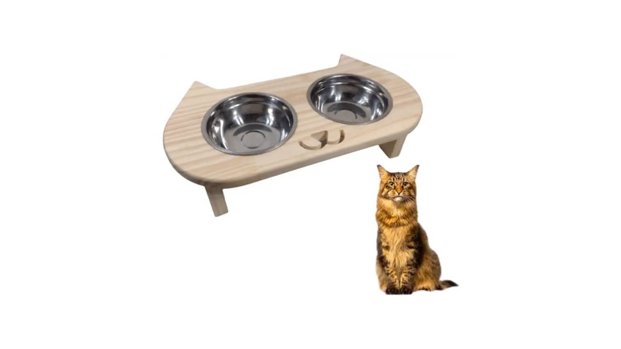 Melhor Vasilha para Gato: Análise de 10 Modelos Excelentes